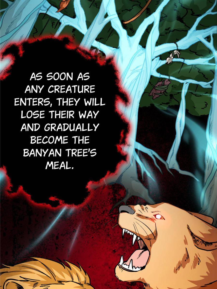 76599968 900 1200 149070